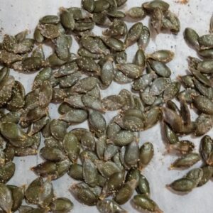 Styrian Pumpkin (Cucurbita pepo styriaca)