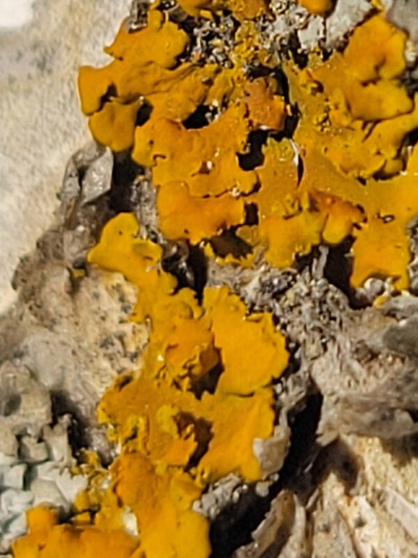 Guided Nature Tour - Image 7