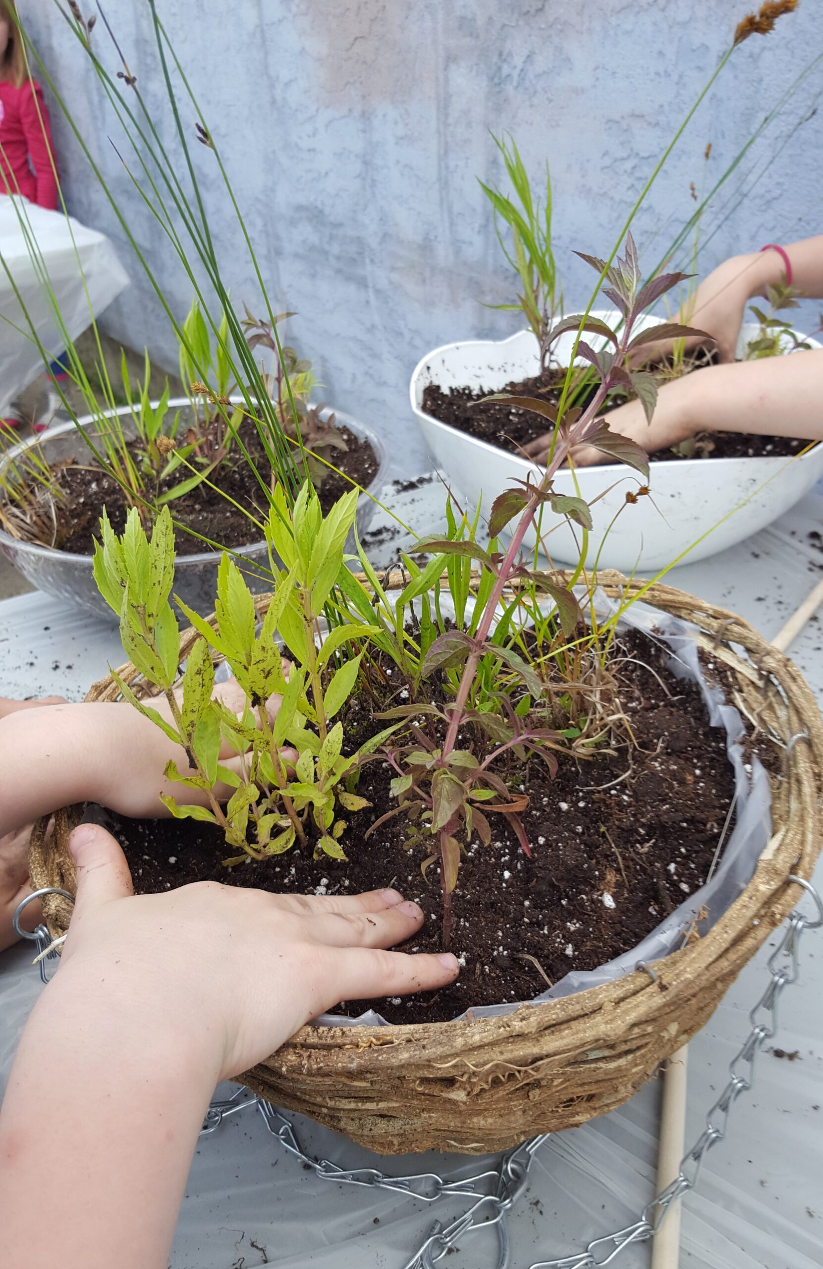 Puddle Gardens Workshop - Image 2