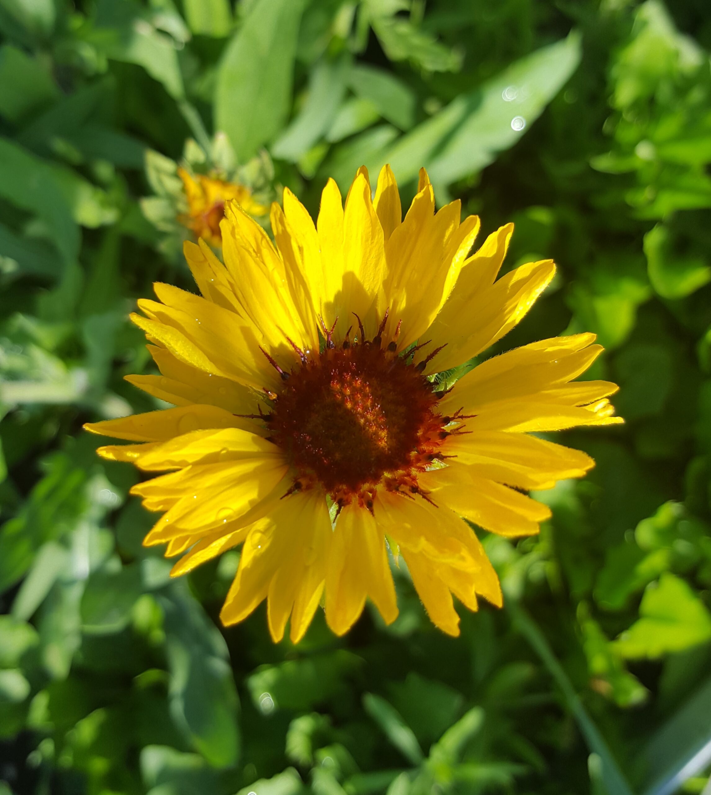 Build A Basket - Image 5