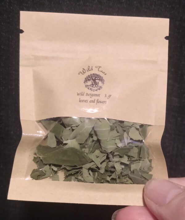Wild Tea Workshop - Image 2