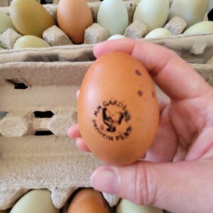 Rainbow Protein Pearls (AKA Farm Fresh Eggs)