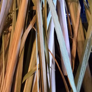 Weaving, Wildcraft & Chai